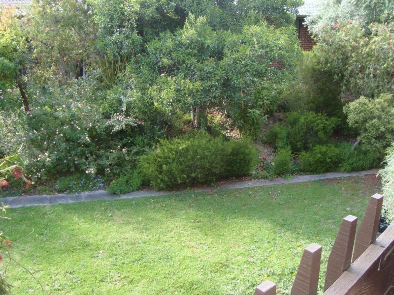 4/2 Alton Street, Torrens Park SA 5062