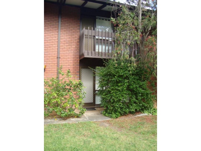 4/2 Alton Street, Torrens Park SA 5062