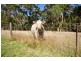 717 Scott Creek Road, Scott Creek SA 5153