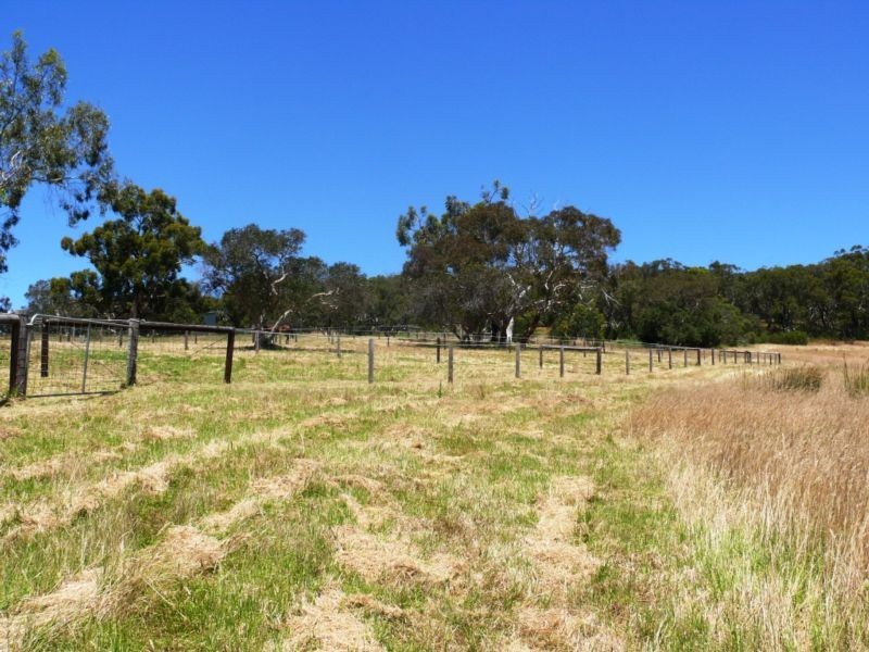 717 Scott Creek Road, Scott Creek SA 5153