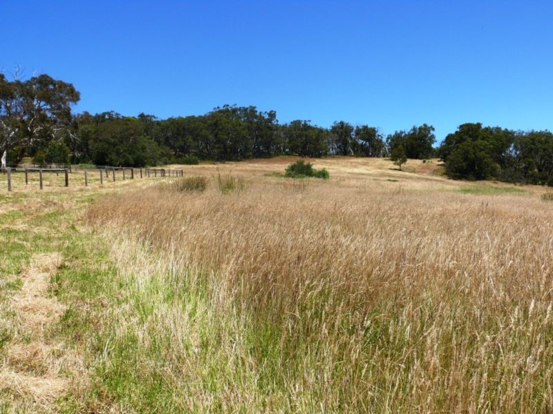 717 Scott Creek Road, Scott Creek SA 5153