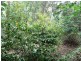 9 Ising Road, Crafers West SA 5152