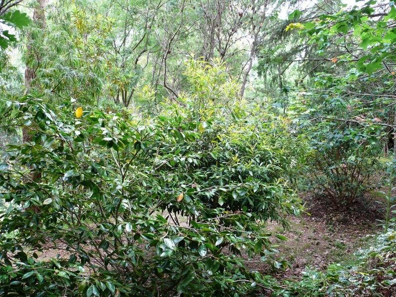 9 Ising Road, Crafers West SA 5152
