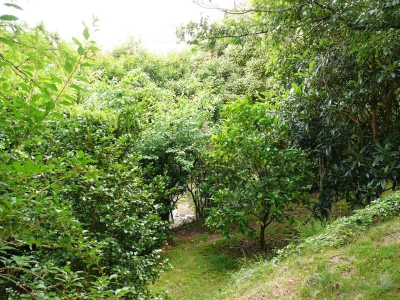 9 Ising Road, Crafers West SA 5152
