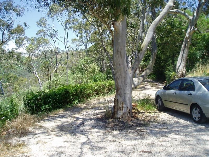 11 Haven Road, Skye SA 5072