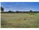 867B Callington Road, Hartley SA 5255