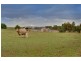 867B Callington Road, Hartley SA 5255