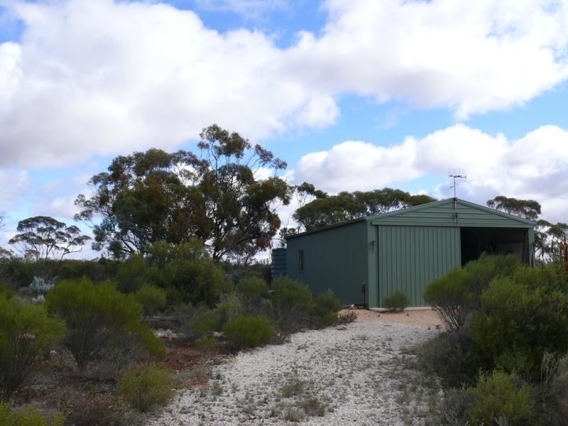 372 Lanosa Road, Morgan SA 5320