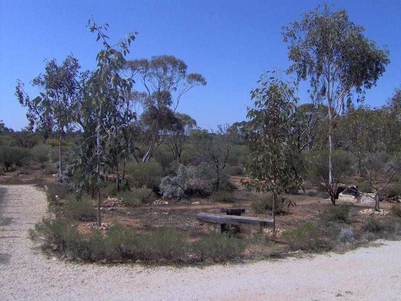 372 Lanosa Road, Morgan SA 5320