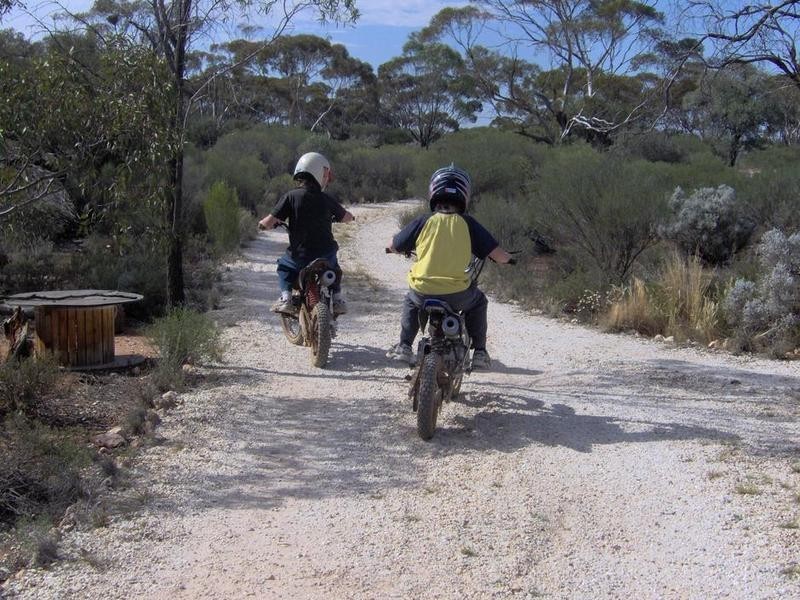 372 Lanosa Road, Morgan SA 5320