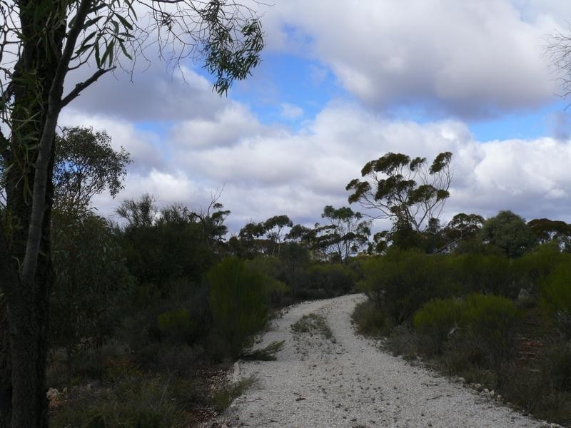 372 Lanosa Road, Morgan SA 5320