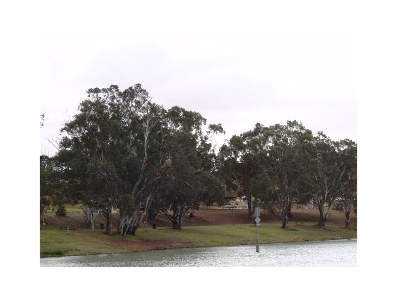 372 Lanosa Road, Morgan SA 5320