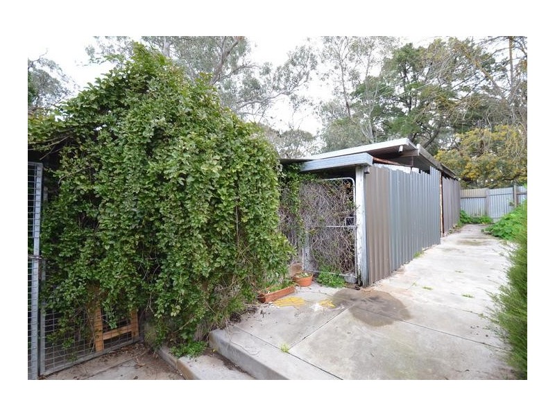 8 Cypress Ave, Hawthorndene SA 5051