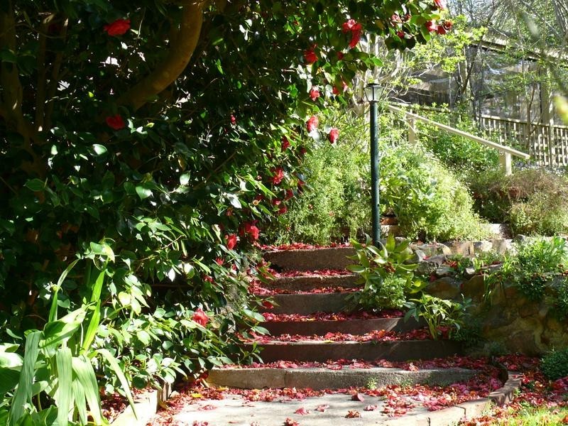 7 Devon Ave, Stirling SA 5152