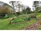 35 Thorngate Drive, Belair SA 5052