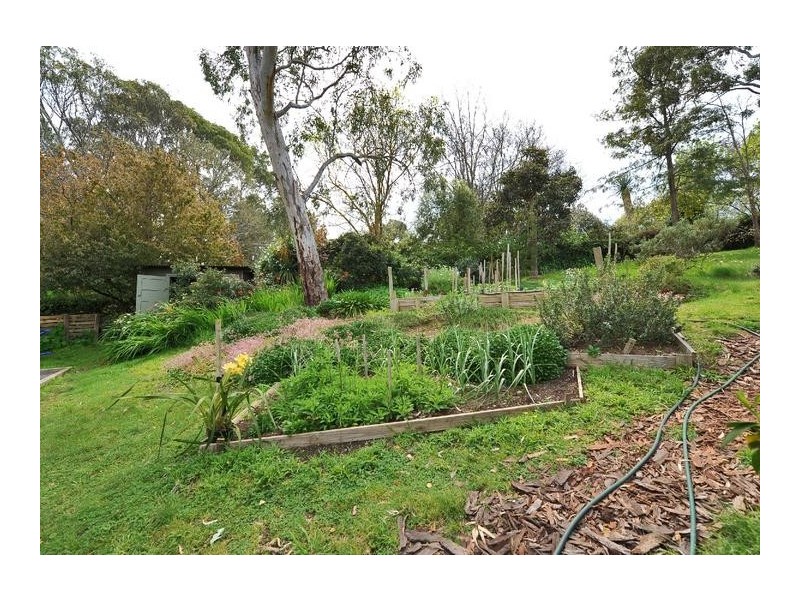 35 Thorngate Drive, Belair SA 5052