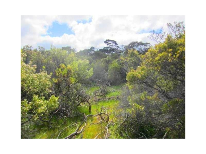 Lot 190, Lot 190 Nepean Esplanade, Nepean Bay SA 5223