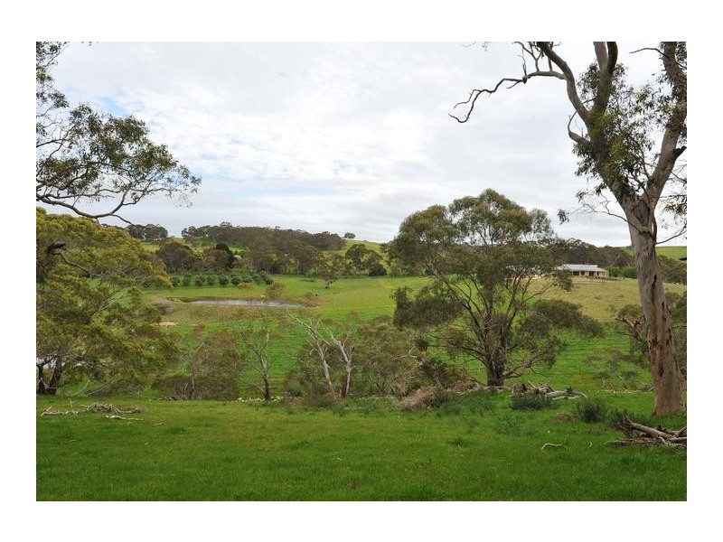 930 Old Bull Creek Road PARIS CREEK, Meadows SA 5201