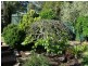 29A Willora Road, Eden Hills SA 5050