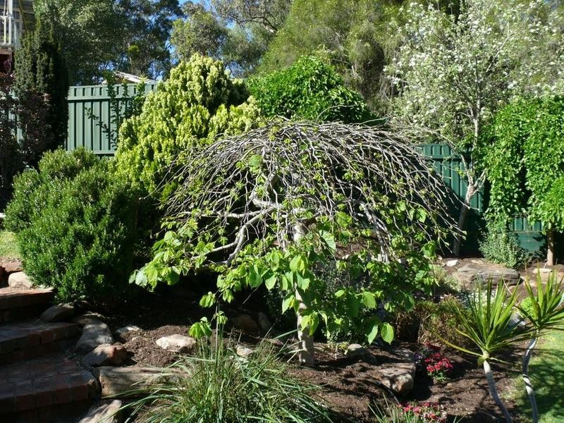 29A Willora Road, Eden Hills SA 5050