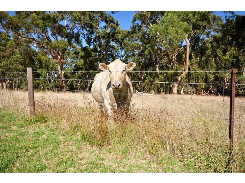 717 Scott Creek Road, Scott Creek SA 5153