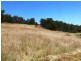 717 Scott Creek Road, Scott Creek SA 5153