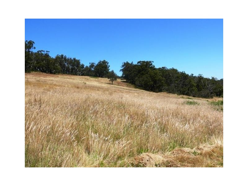 717 Scott Creek Road, Scott Creek SA 5153