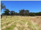 717 Scott Creek Road, Scott Creek SA 5153