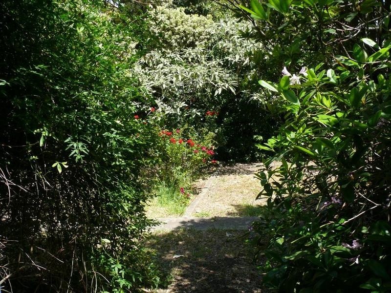 12 Deemster Avenue, Christies Beach SA 5165