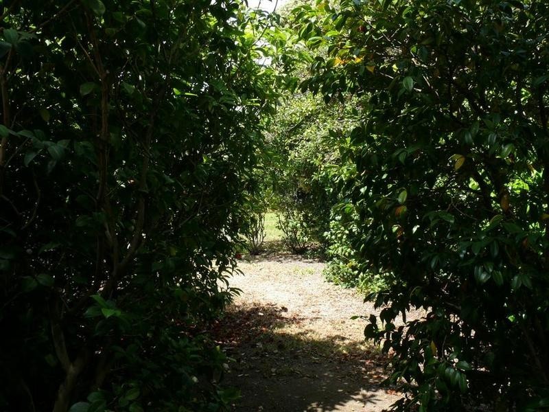 12 Deemster Avenue, Christies Beach SA 5165