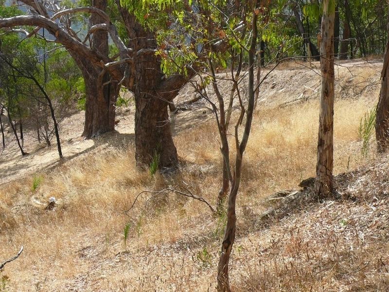 Lot 2 Narrow Range, Cherryville SA 5134