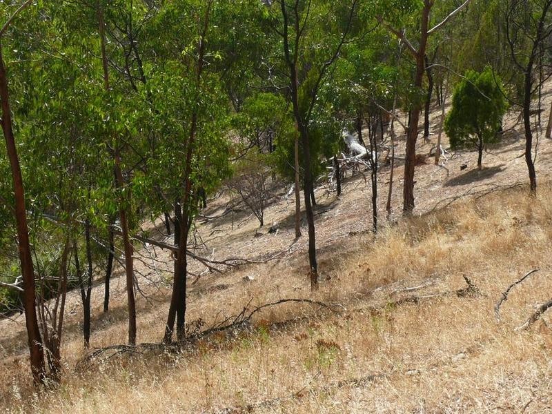 Lot 2 Narrow Range, Cherryville SA 5134