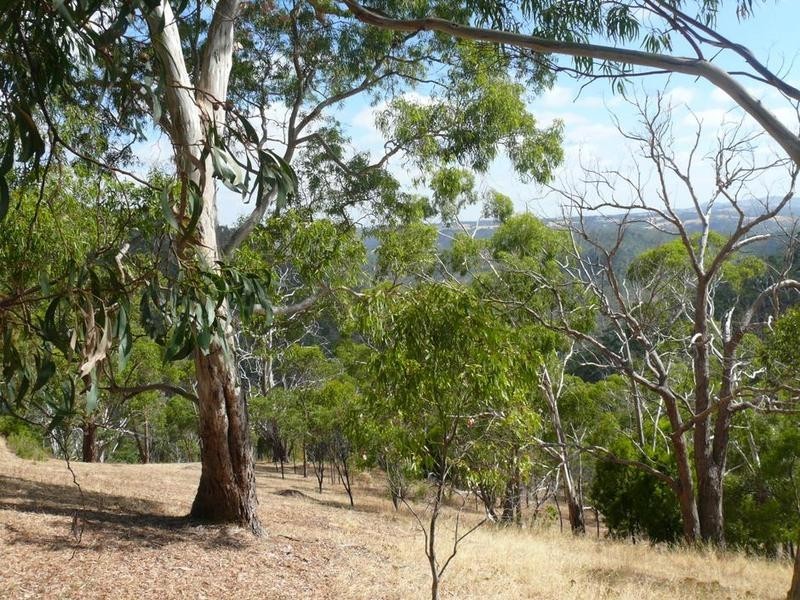 Lot 2 Narrow Range, Cherryville SA 5134