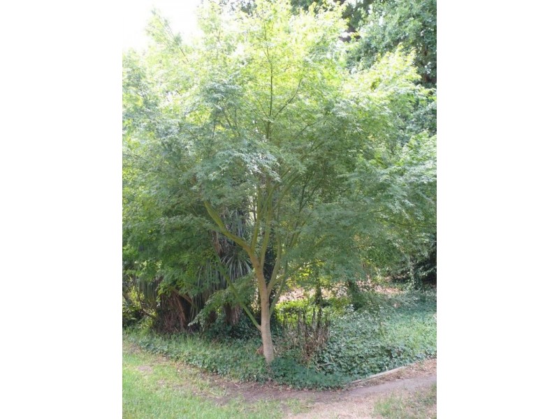 - Wilpena Terrace, Aldgate SA 5154