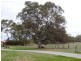 Lot 24 Battunga RD, Meadows SA 5201