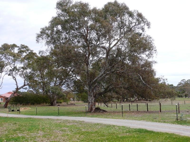 Lot 24 Battunga RD, Meadows SA 5201