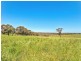 225 Berry Road, Echunga SA 5153