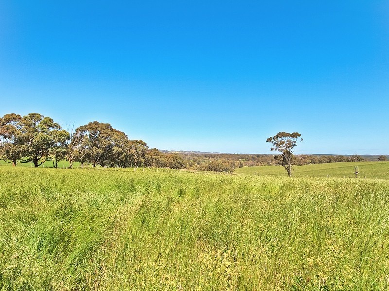 225 Berry Road, Echunga SA 5153