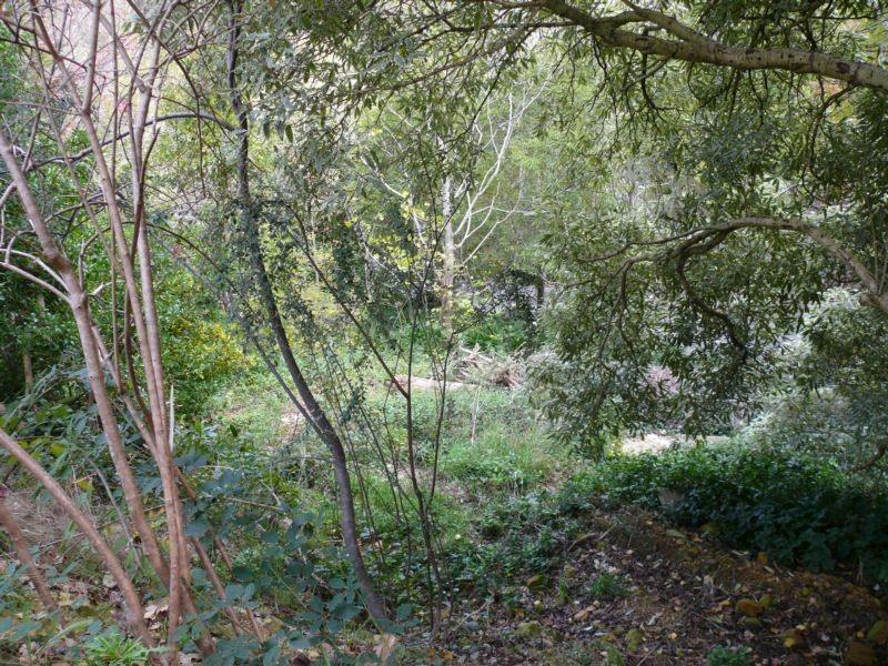 35 Avenue Road, Stirling SA 5152