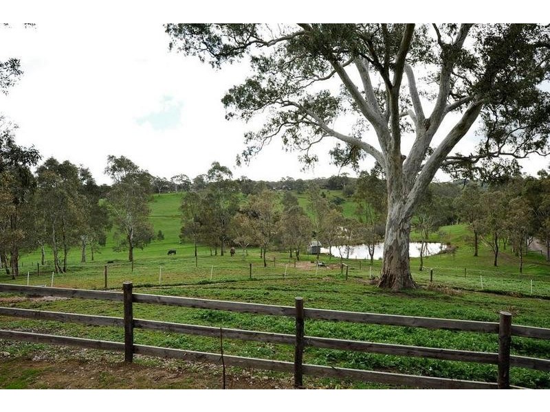 58 Lewis Street, Cherry Gardens SA 5157