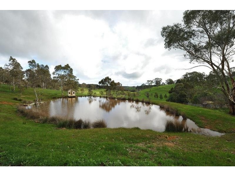 58 Lewis Street, Cherry Gardens SA 5157