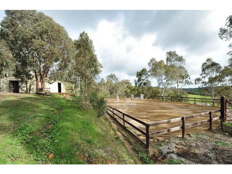 58 Lewis Street, Cherry Gardens SA 5157