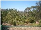 19 Nicolle Ave, Hawthorndene SA 5051
