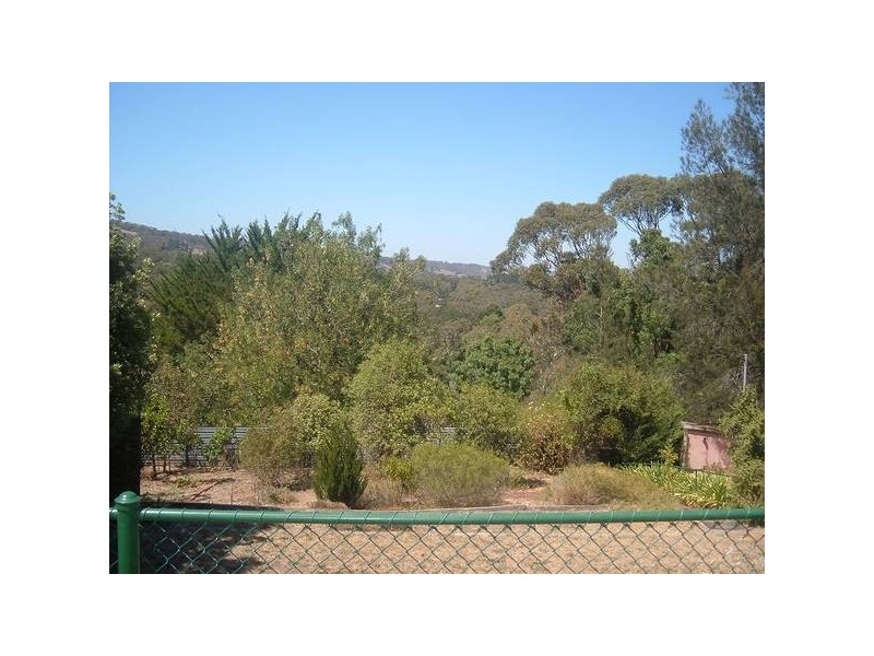 19 Nicolle Ave, Hawthorndene SA 5051