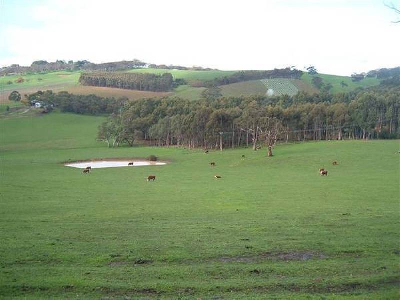 901 Greenhills Road, Meadows SA 5201