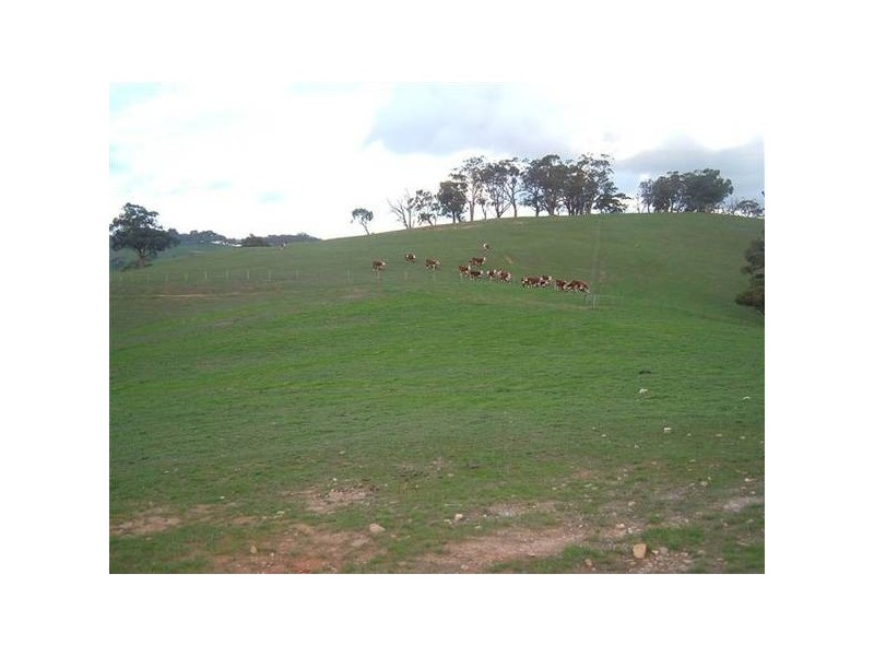 901 Greenhills Road, Meadows SA 5201