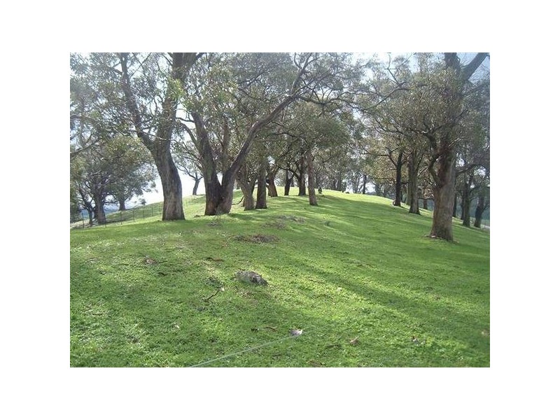 901 Greenhills Road, Meadows SA 5201