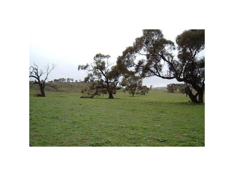 Rams Rd, Rockleigh SA 5254