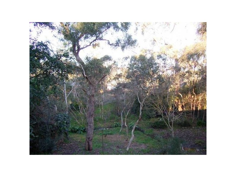 Driffield Rd, Bridgewater SA 5155