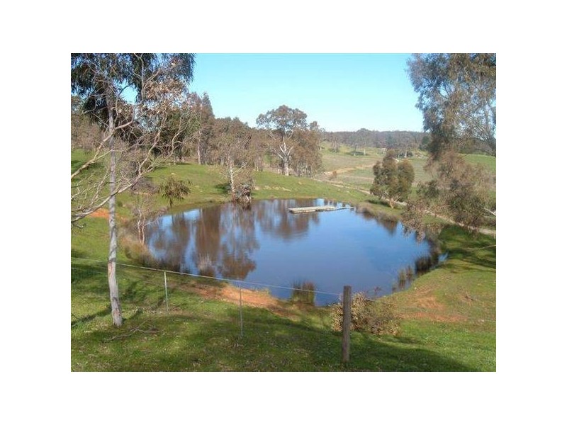 Lewis St, Cherry Gardens SA 5157